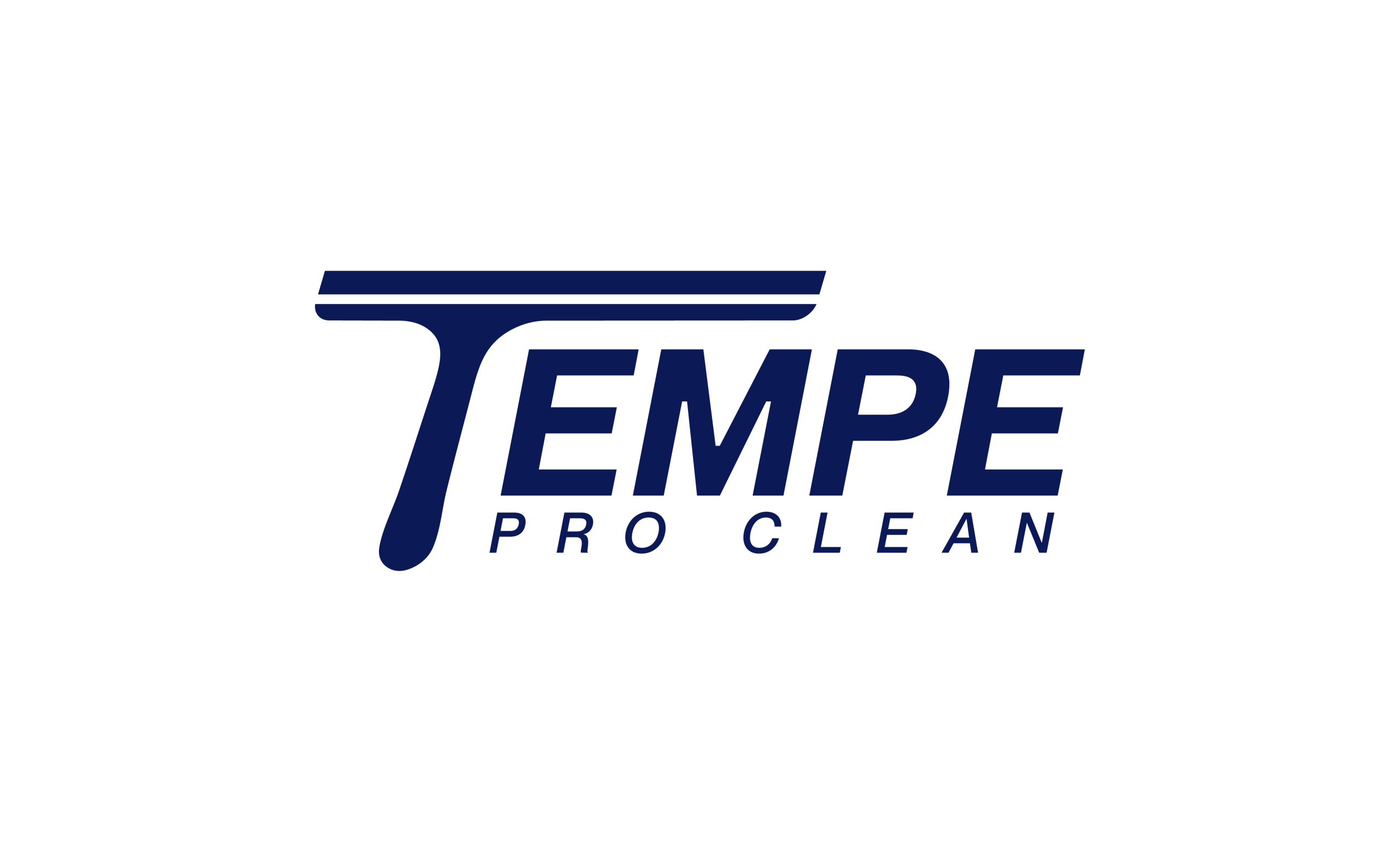 Tempe Pro Clean LLC